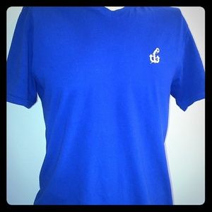 Royal Blue V-Neck T-Shirt (free shipping)